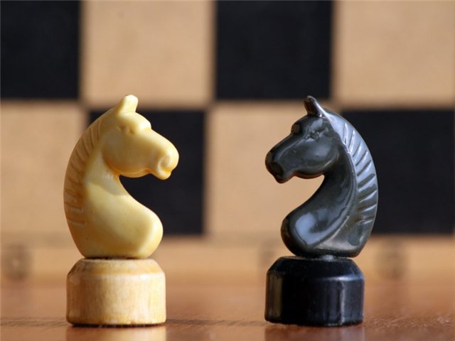 7 мифов о шахматах